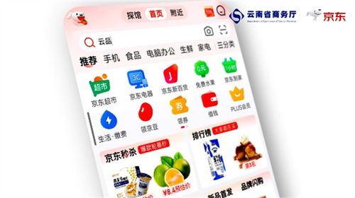 四季云品，產地云南 電商年貨節盛典啟幕，點燃新春消費熱情